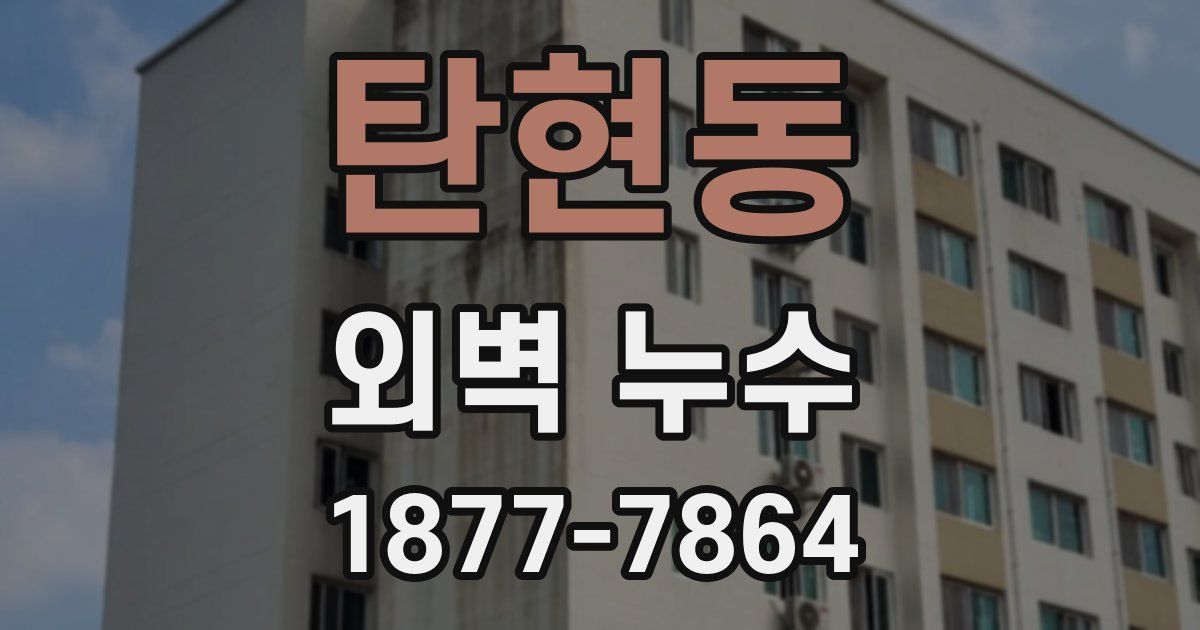 탄현동 외벽 누수
