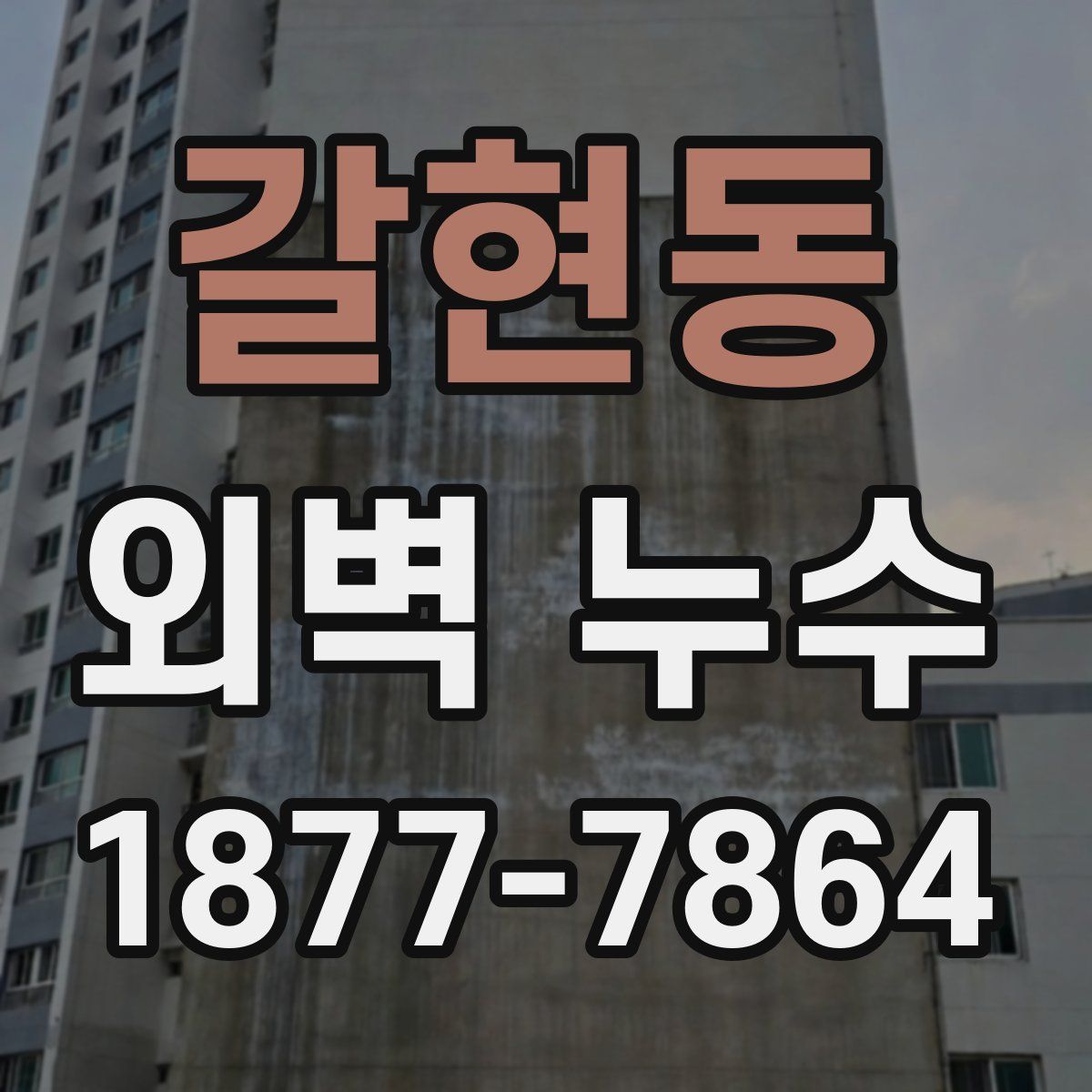 갈현동 외벽 누수