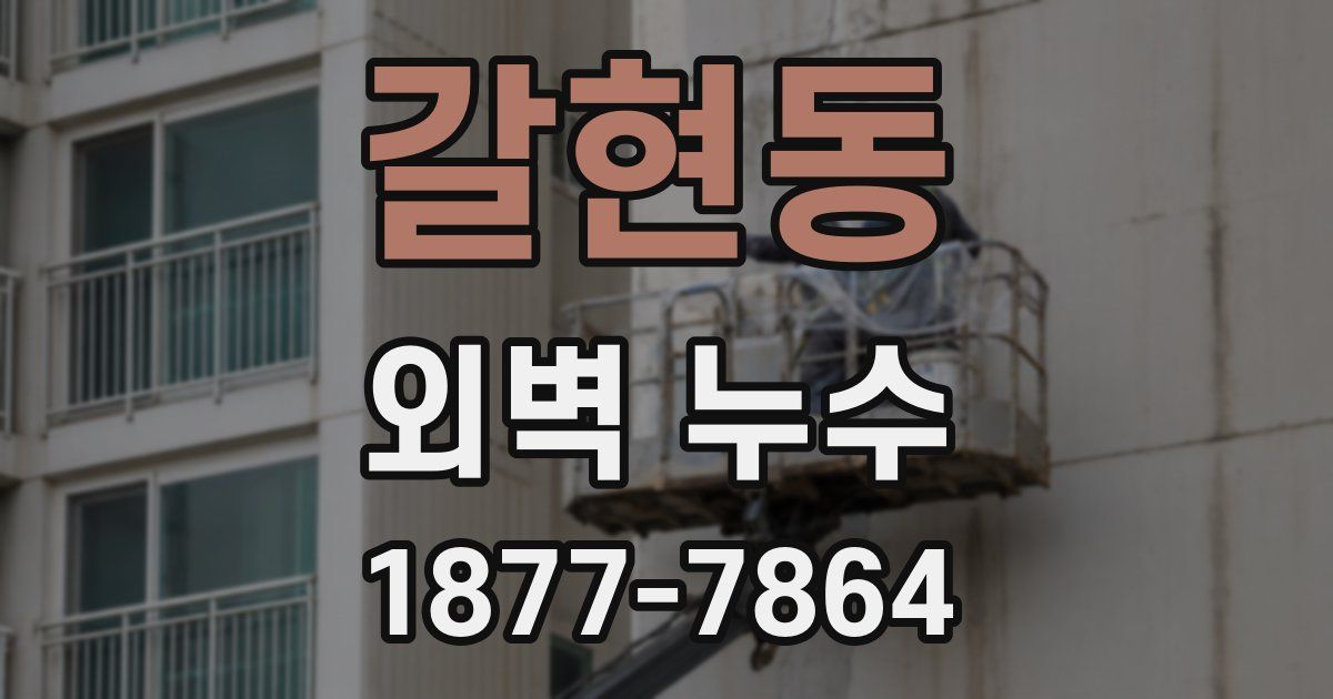 갈현동 외벽 누수