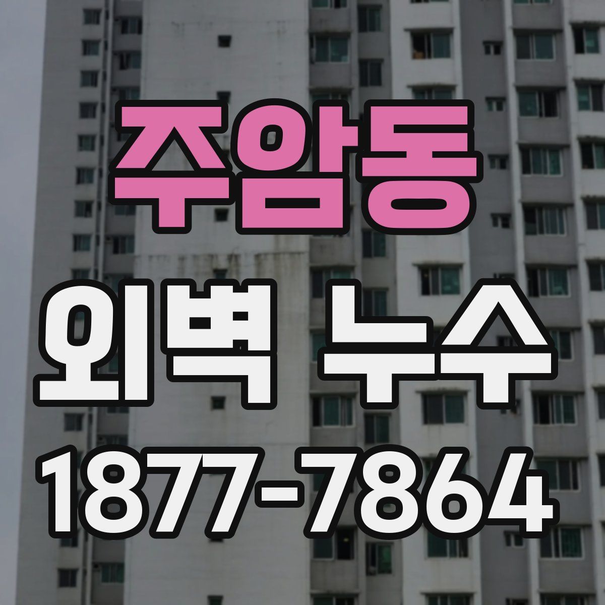 주암동 외벽 누수