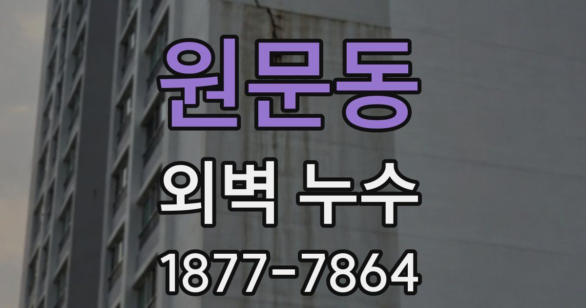 원문동 외벽 누수