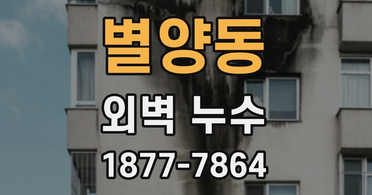 별양동 외벽 누수