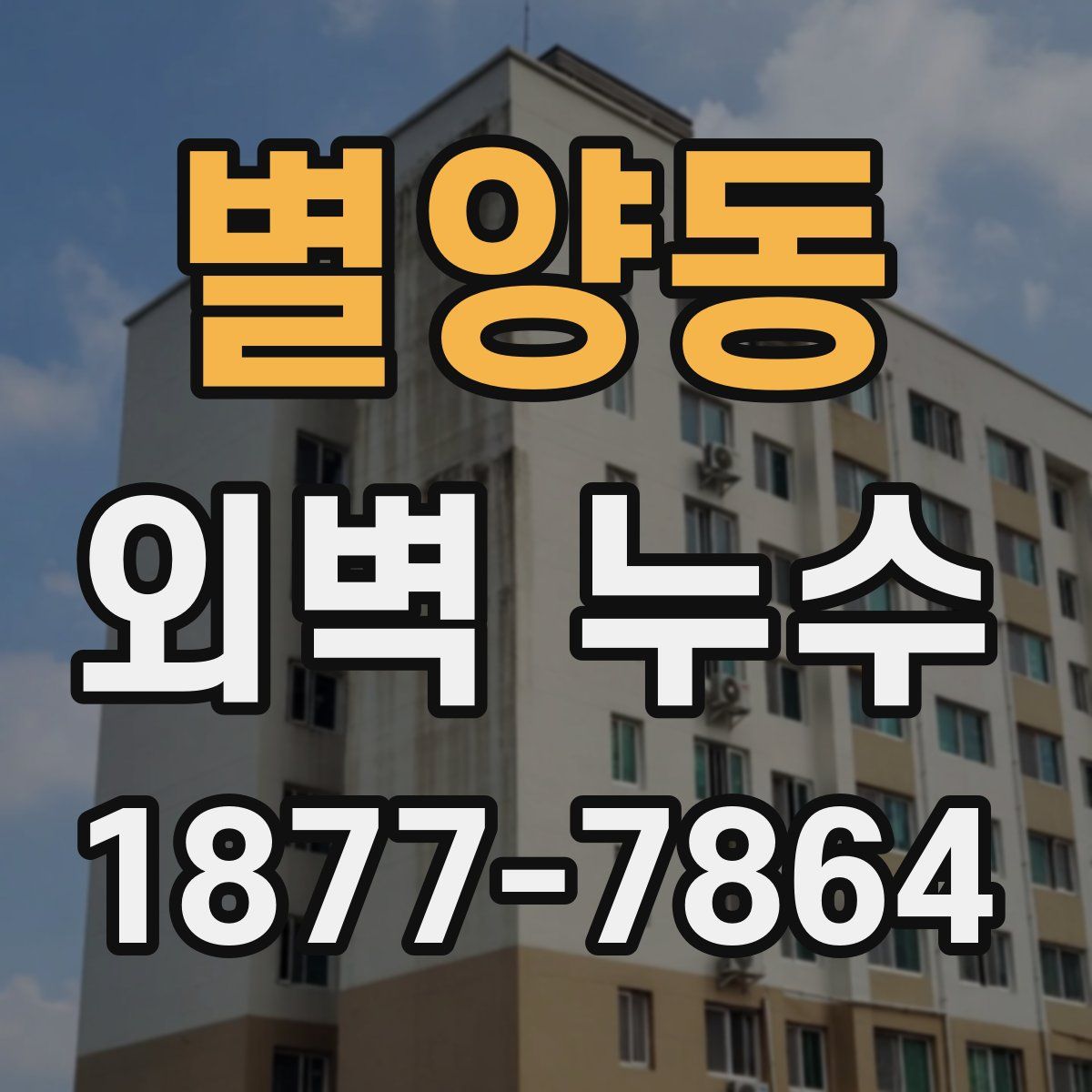 별양동 외벽 누수