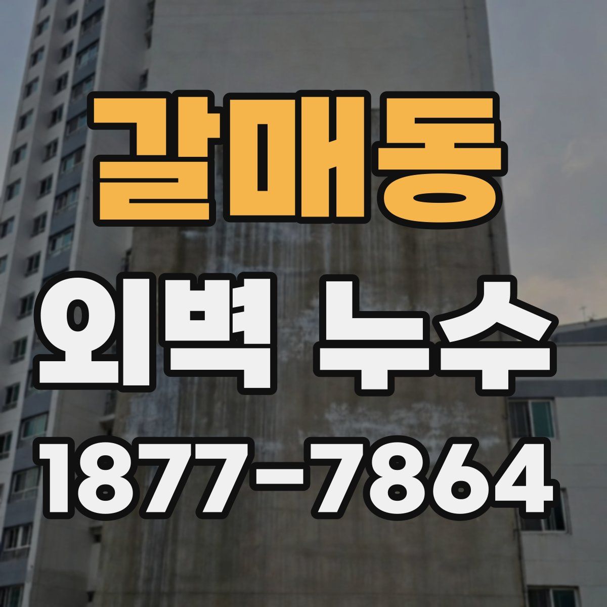 갈매동 외벽 누수