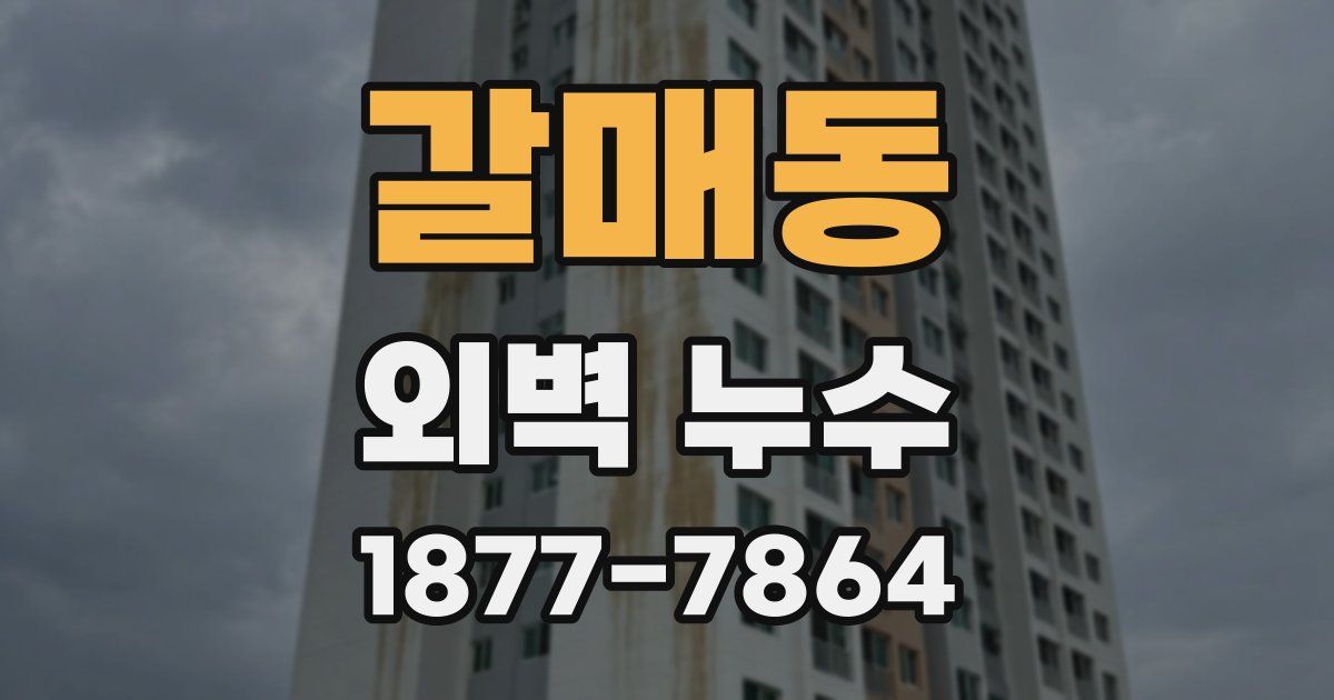 갈매동 외벽 누수