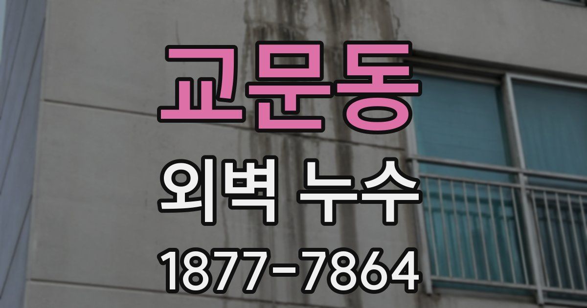 교문동 외벽 누수