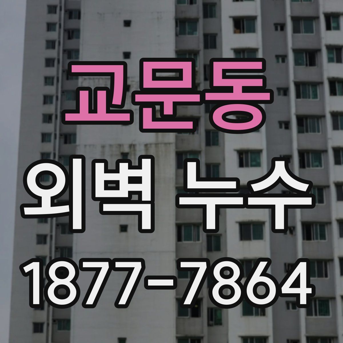 교문동 외벽 누수