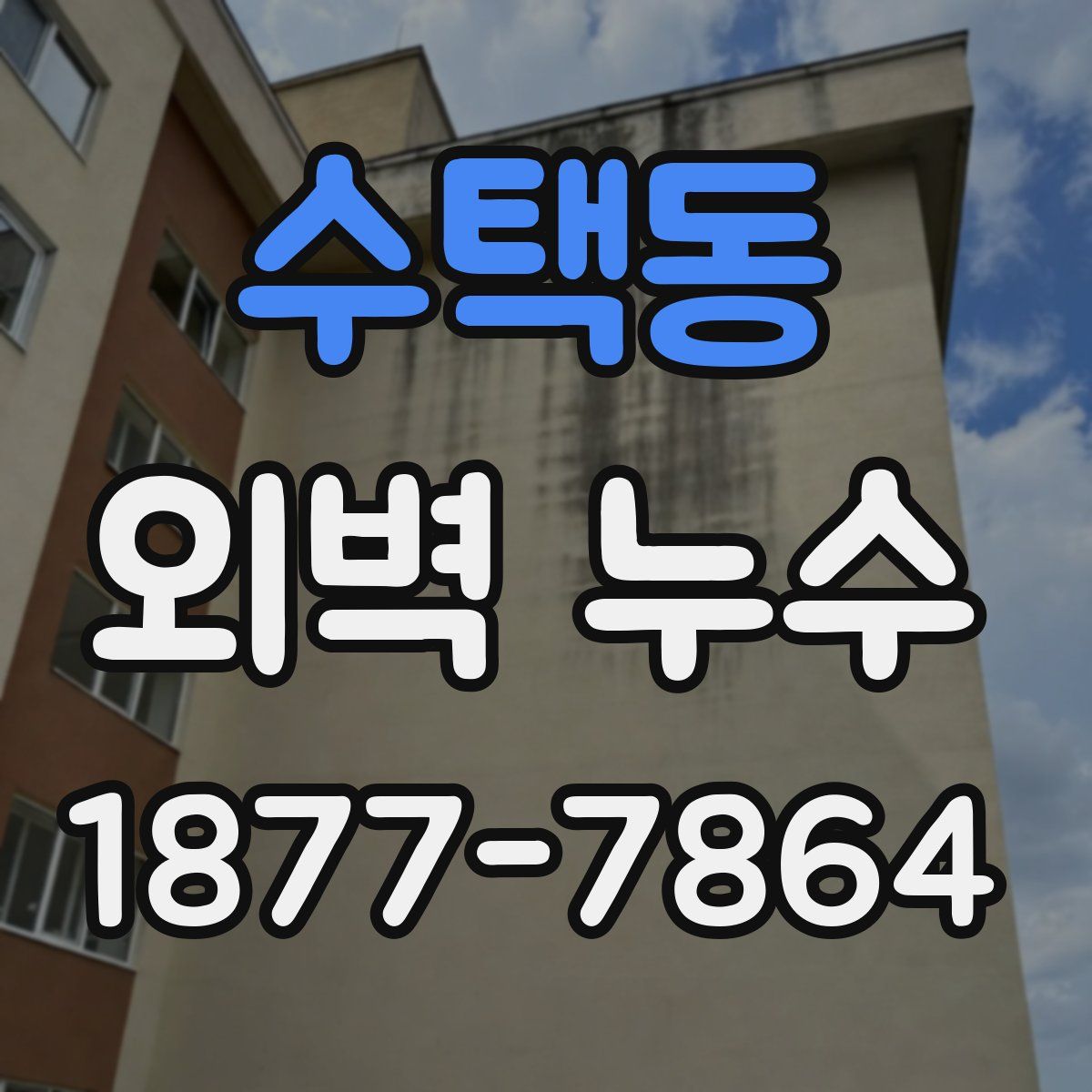 수택동 외벽 누수
