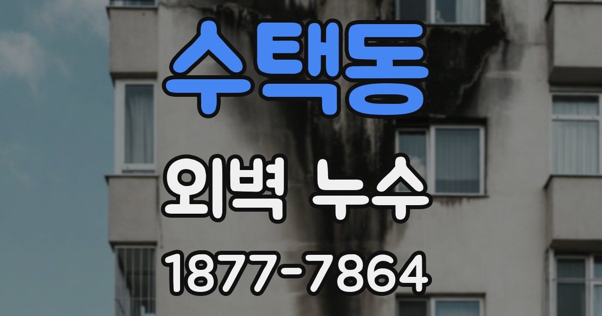 수택동 외벽 누수