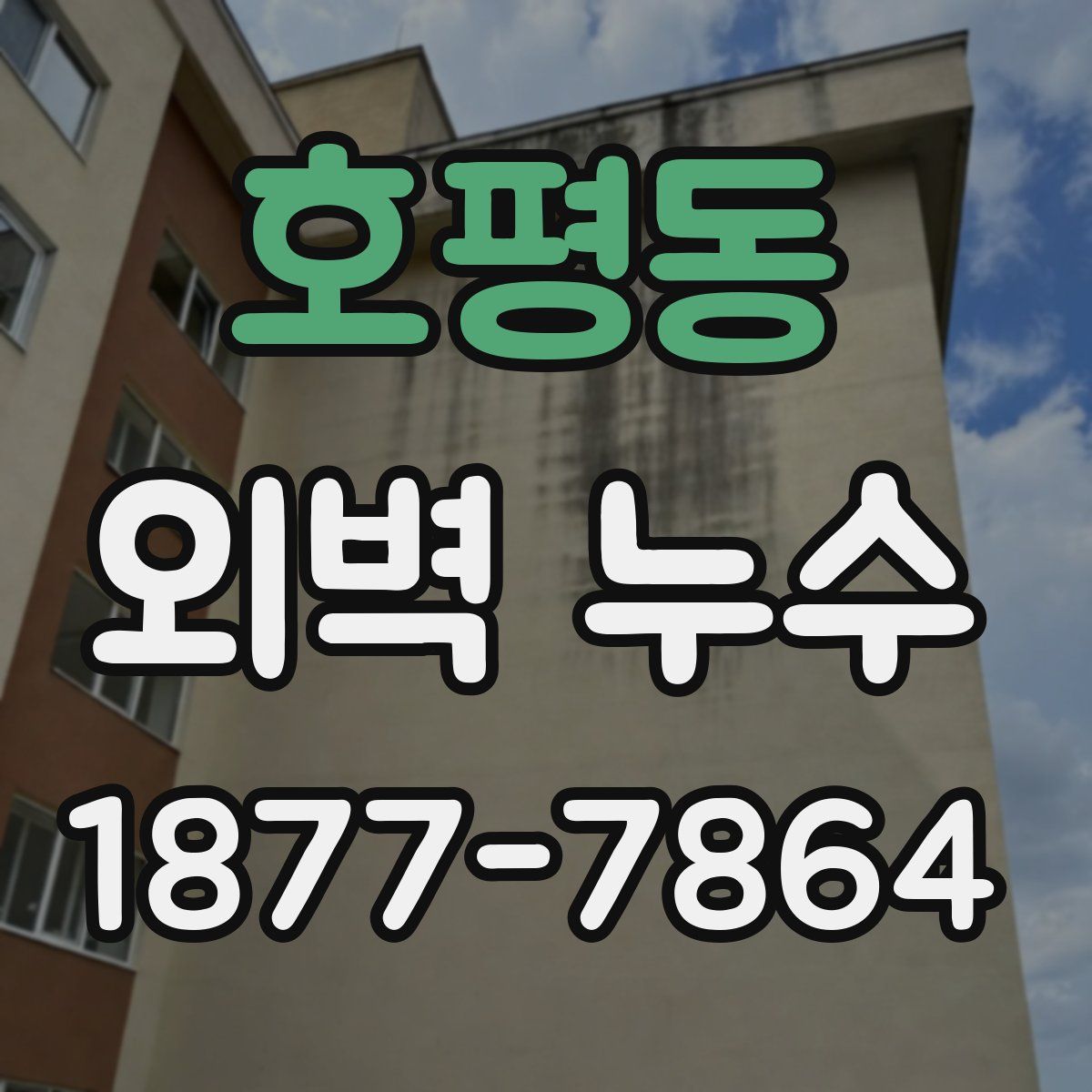 호평동 외벽 누수