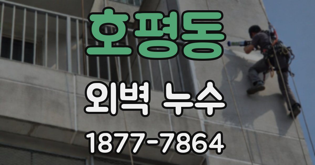호평동 외벽 누수