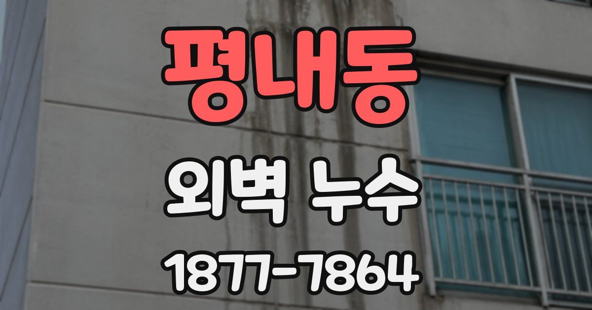 평내동 외벽 누수