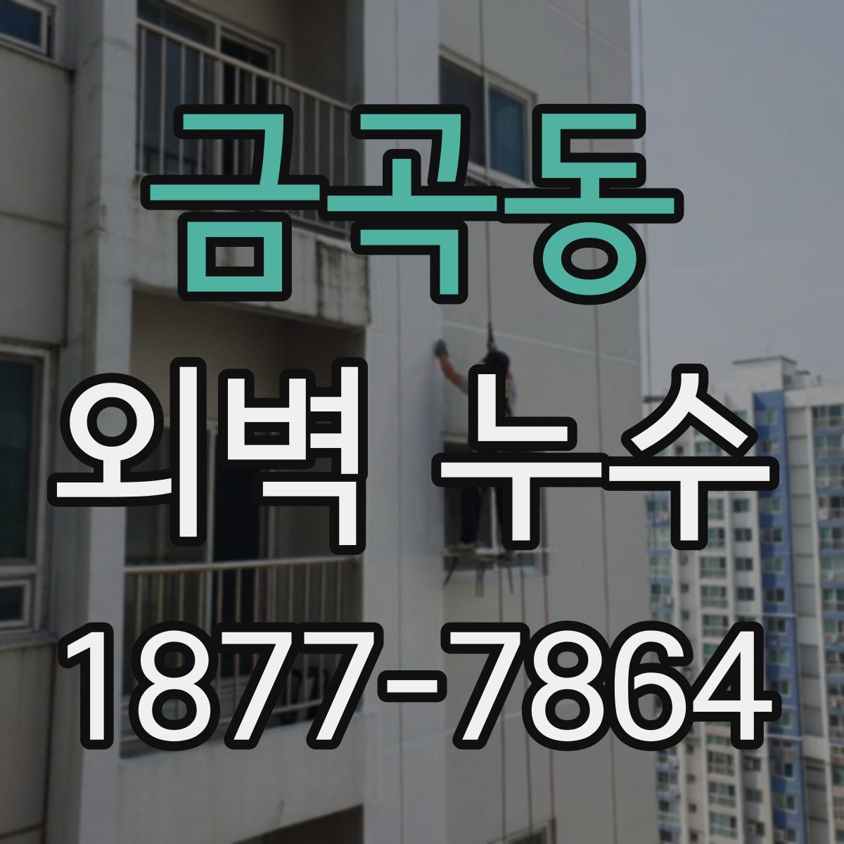 금곡동 외벽 누수