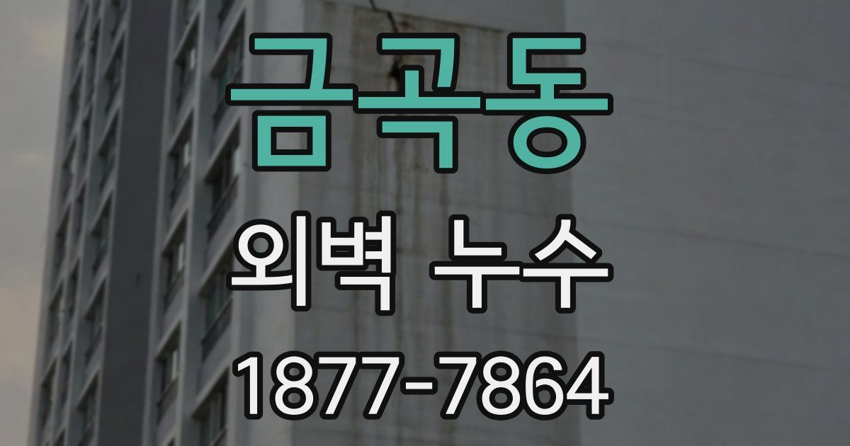 금곡동 외벽 누수