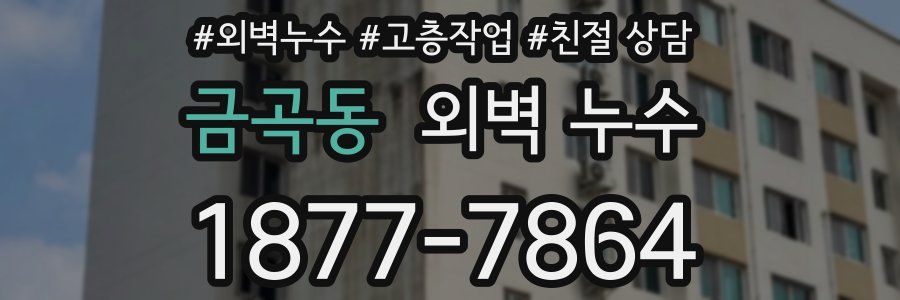 금곡동 외벽 누수