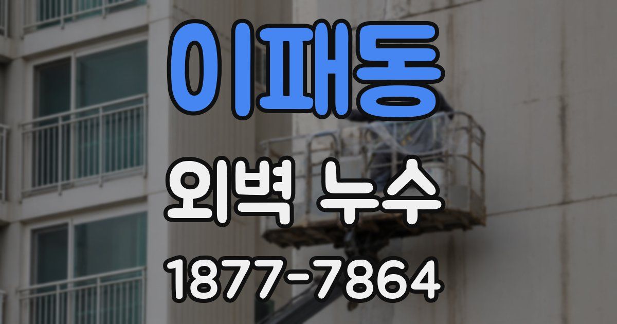 이패동 외벽 누수