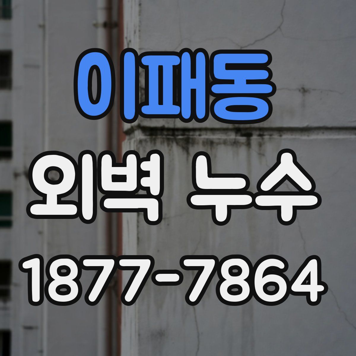 이패동 외벽 누수