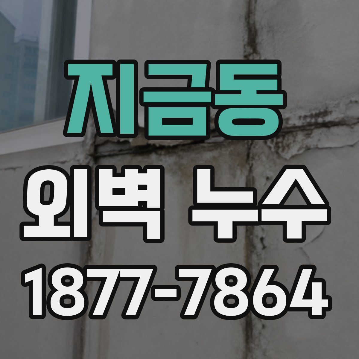 지금동 외벽 누수