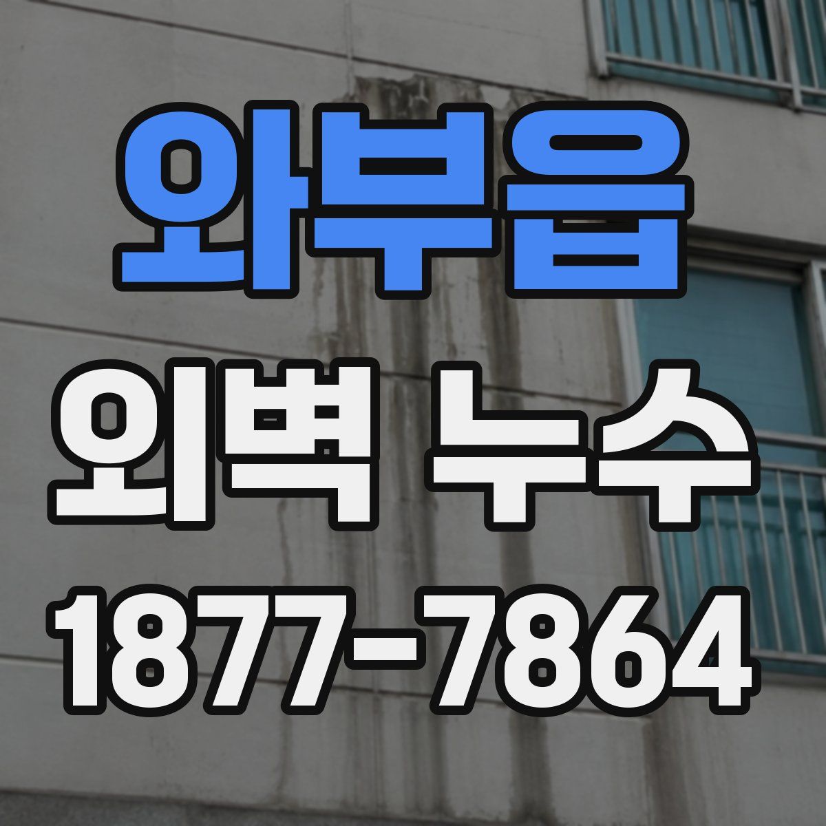 와부읍 외벽 누수