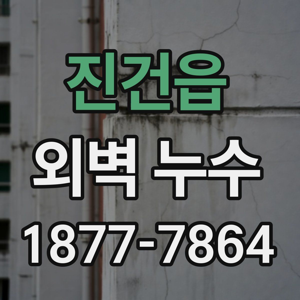 진건읍 외벽 누수