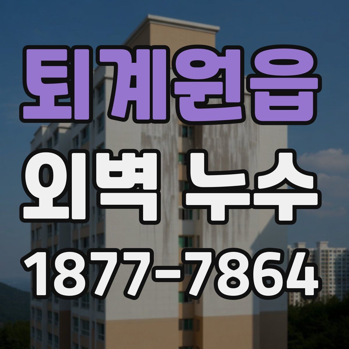 퇴계원읍 외벽 누수 점검 항목을 한눈에 보기