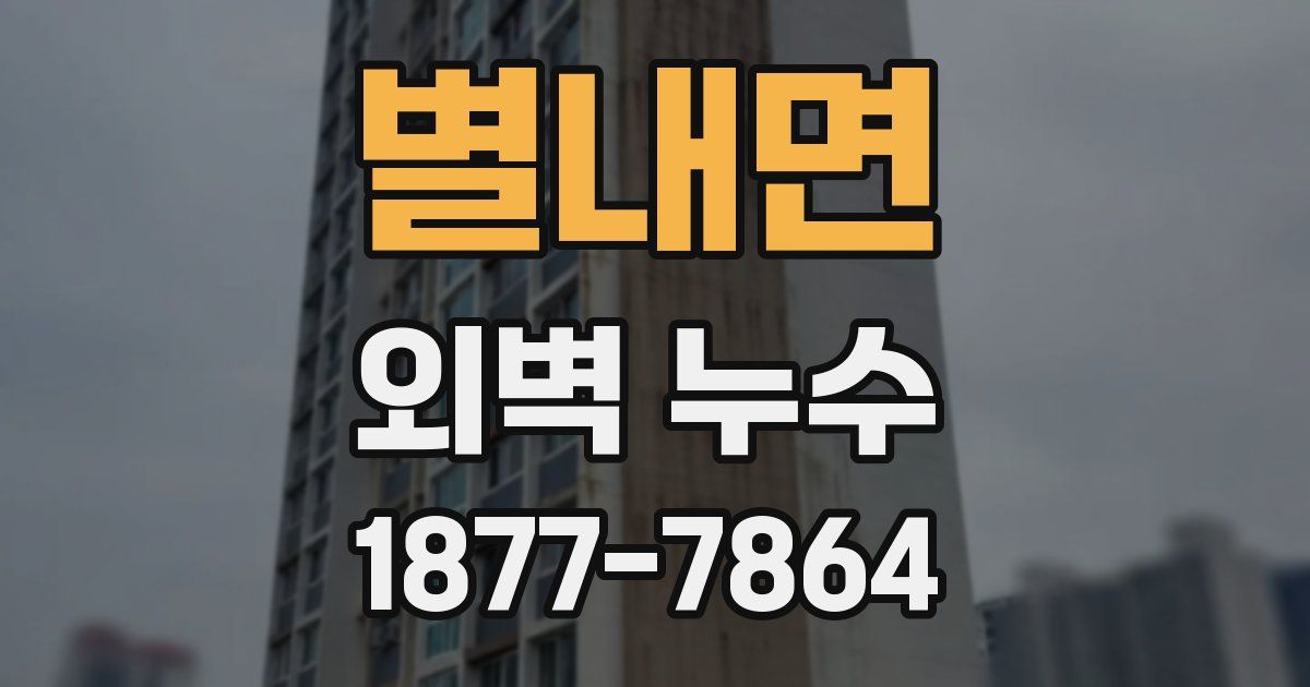 별내면 외벽 누수
