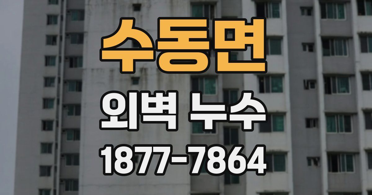 수동면 외벽 누수