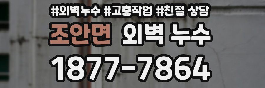 조안면 외벽 누수