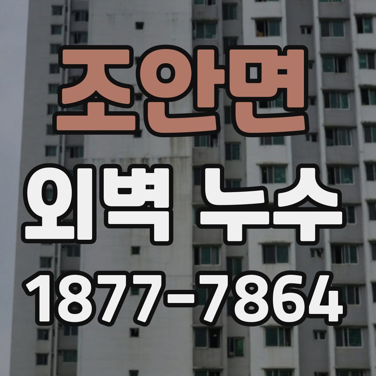 조안면 외벽 누수