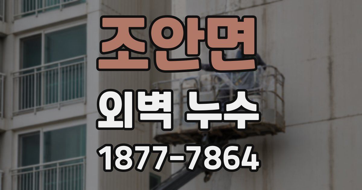 조안면 외벽 누수