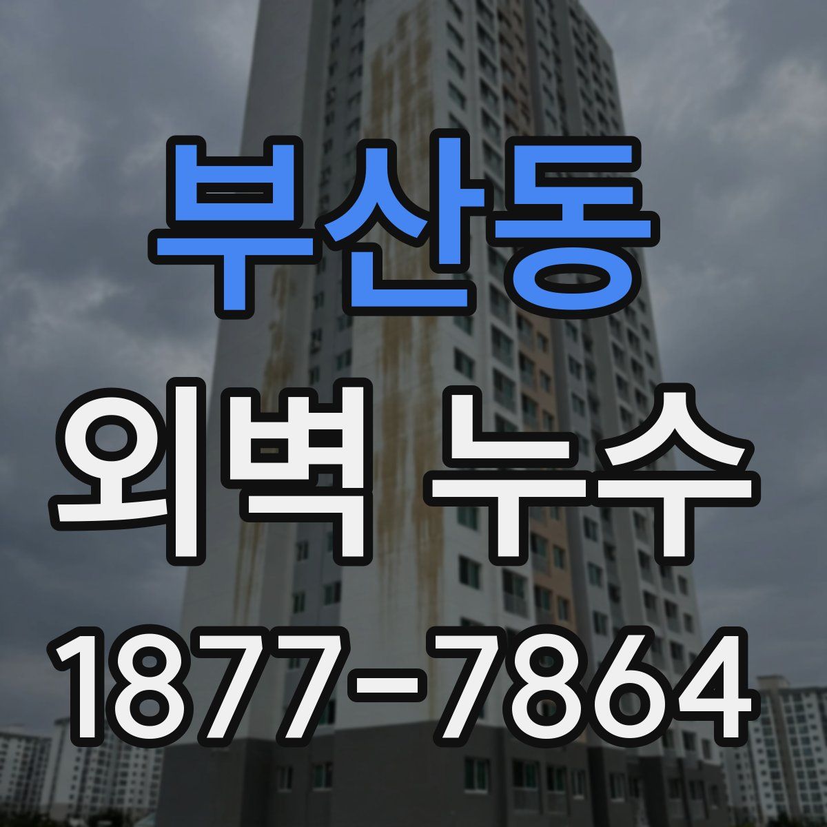 부산동 외벽 누수