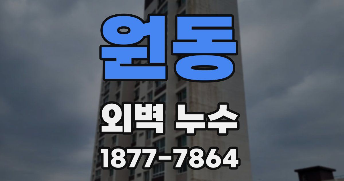 원동 외벽 누수