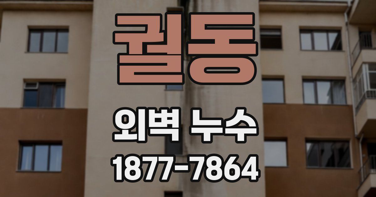 궐동 외벽 누수
