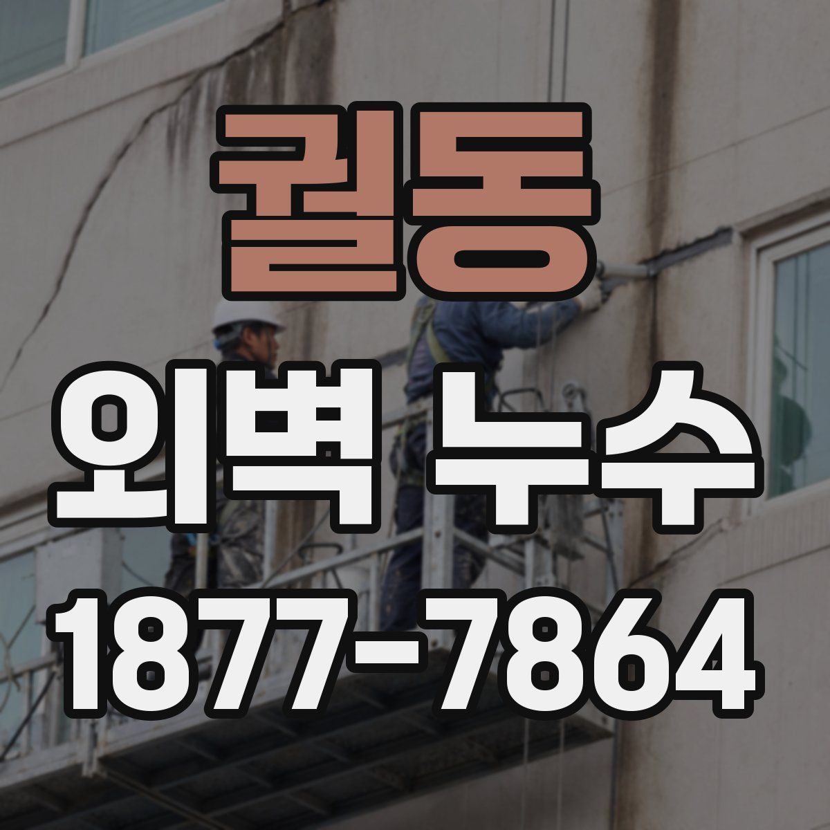 궐동 외벽 누수