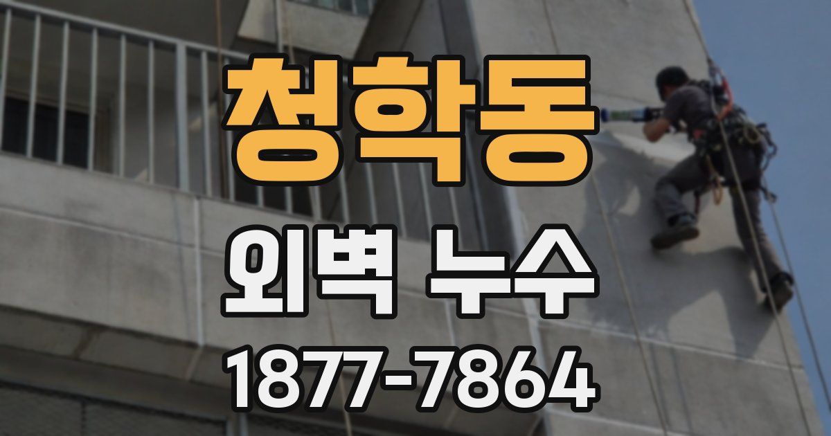 청학동 외벽 누수