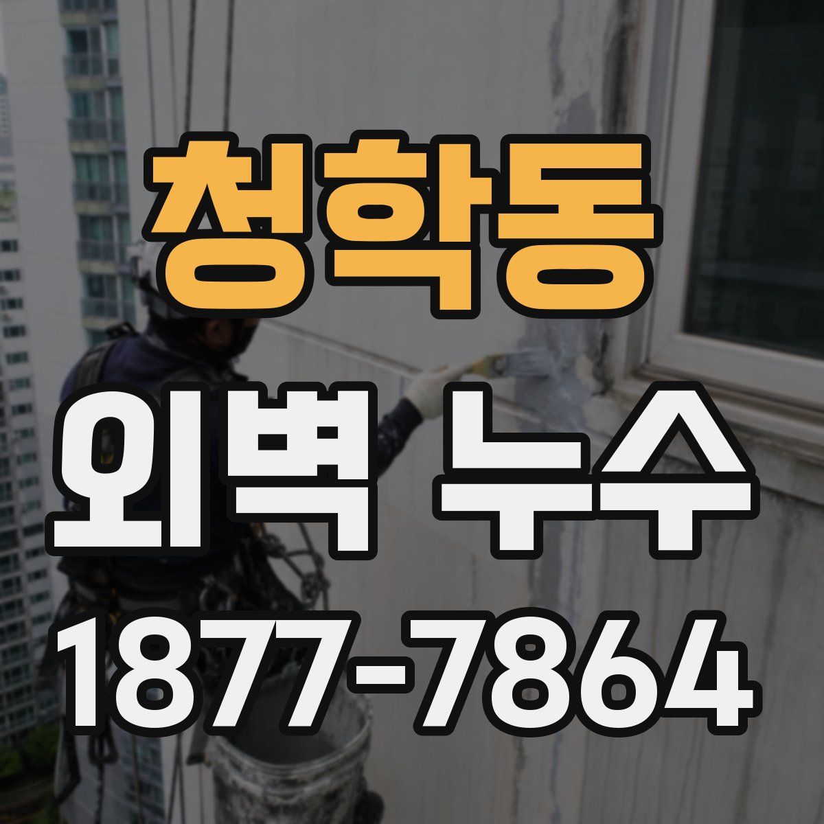 청학동 외벽 누수