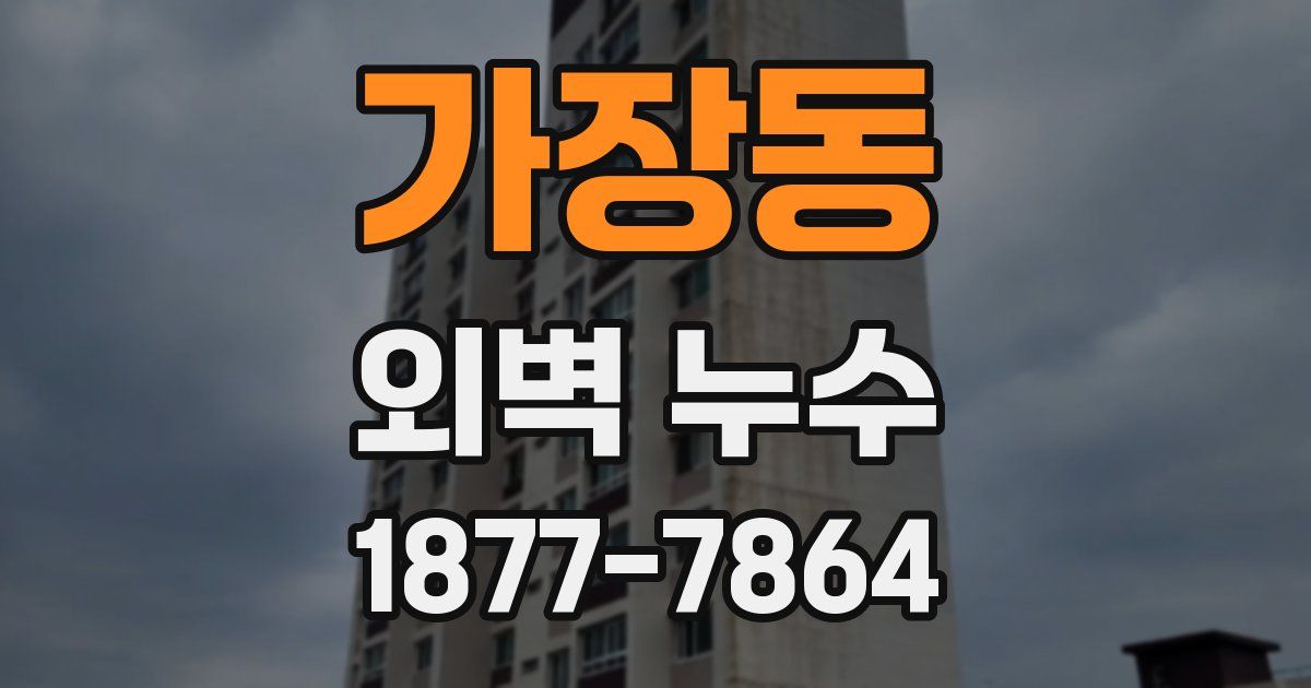 가장동 외벽 누수