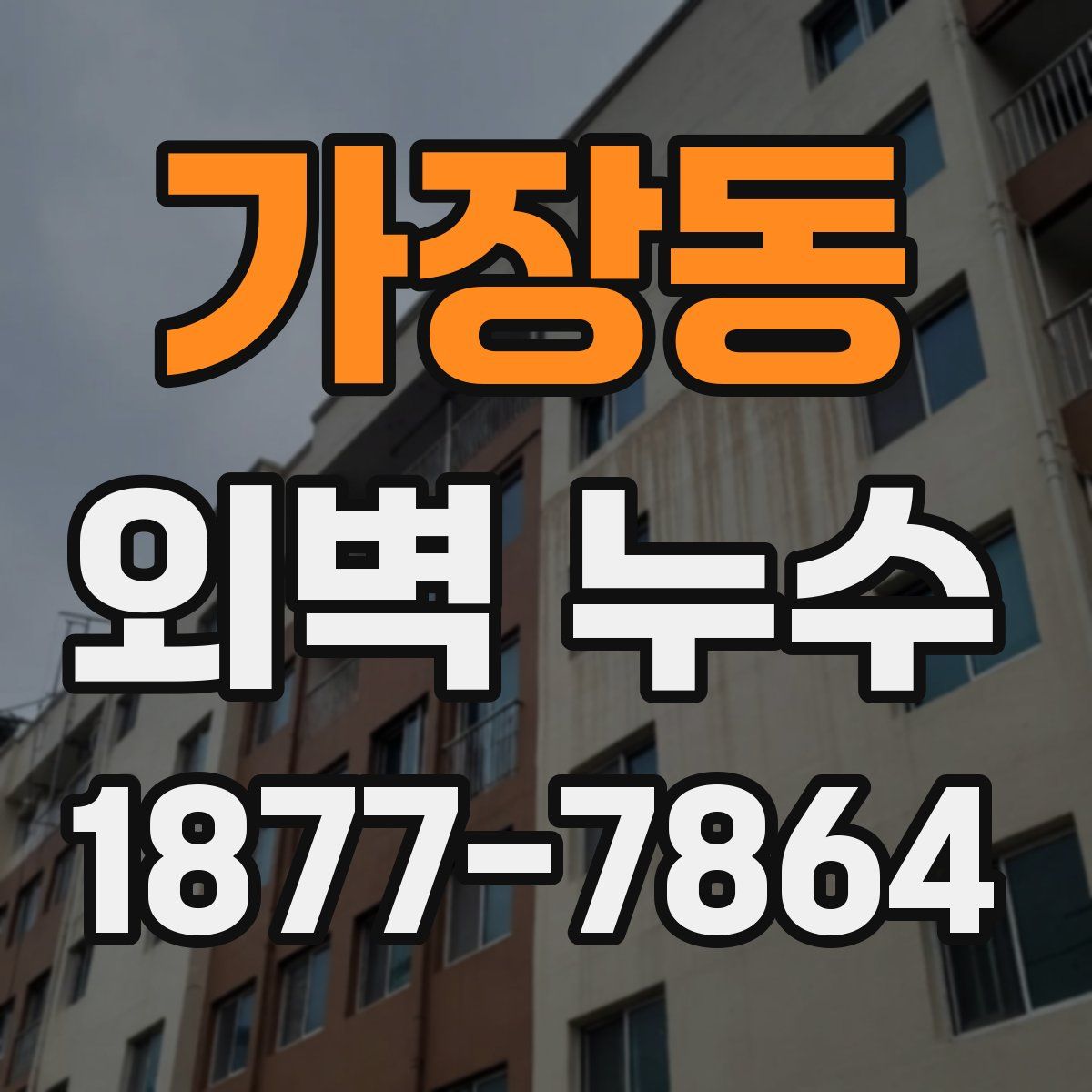 가장동 외벽 누수