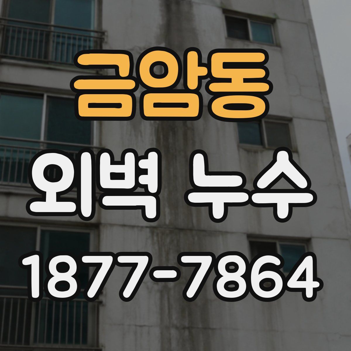 금암동 외벽 누수