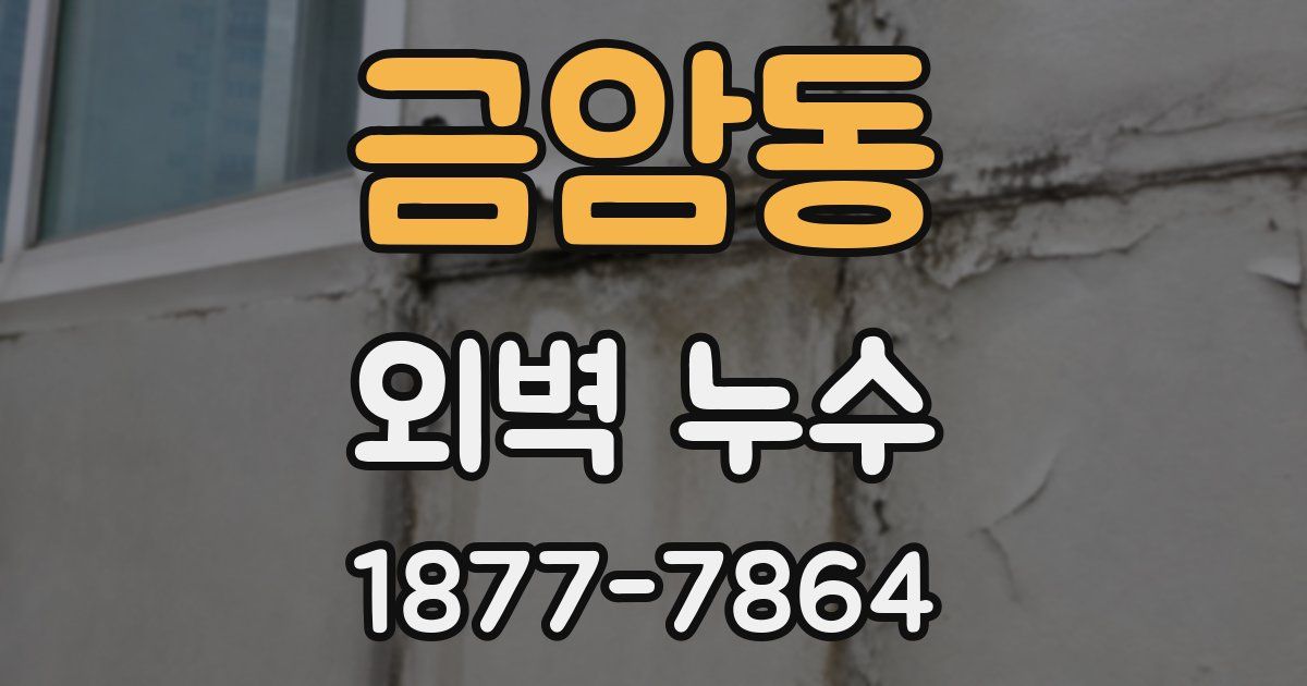 금암동 외벽 누수