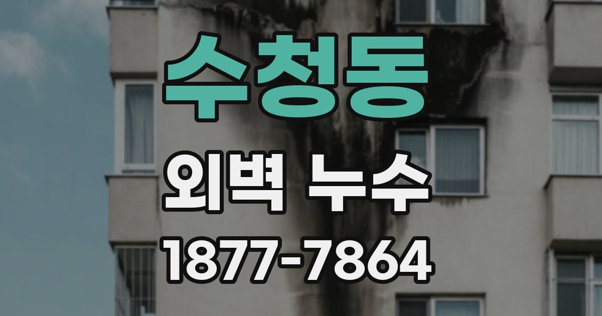 수청동 외벽 누수
