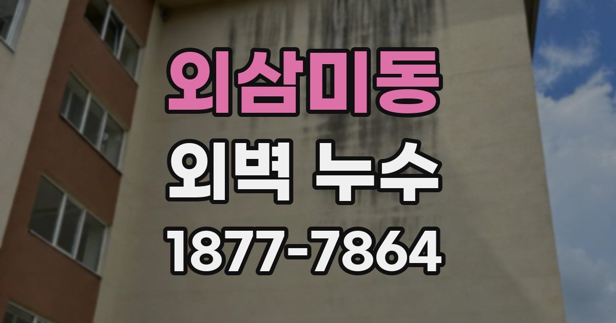 외삼미동 외벽 누수