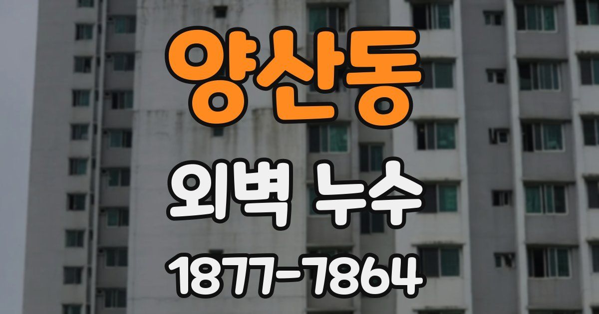 양산동 외벽 누수