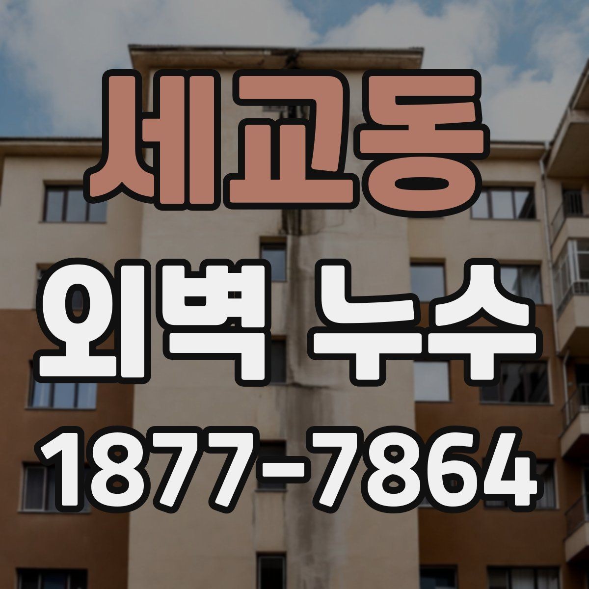 세교동 외벽 누수 공사 견적에서 볼 항목