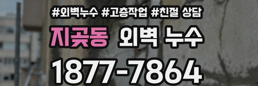 지곶동 외벽 누수