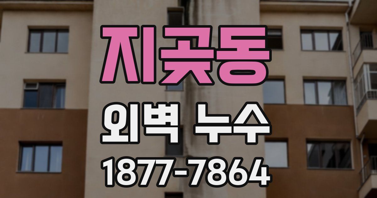 지곶동 외벽 누수