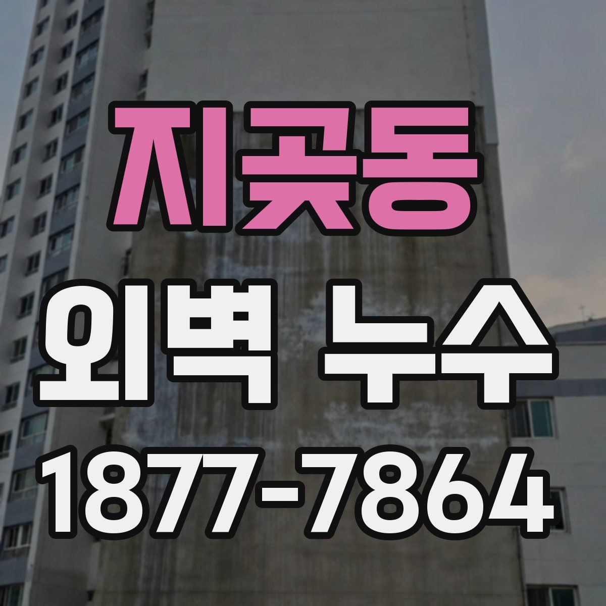 지곶동 외벽 누수