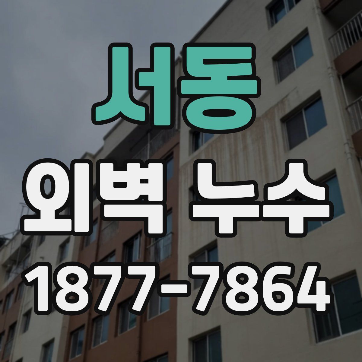 서동 외벽 누수