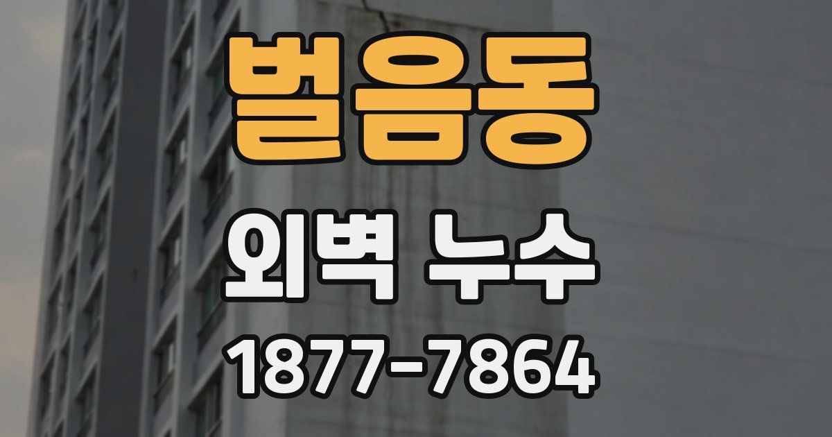 벌음동 외벽 누수