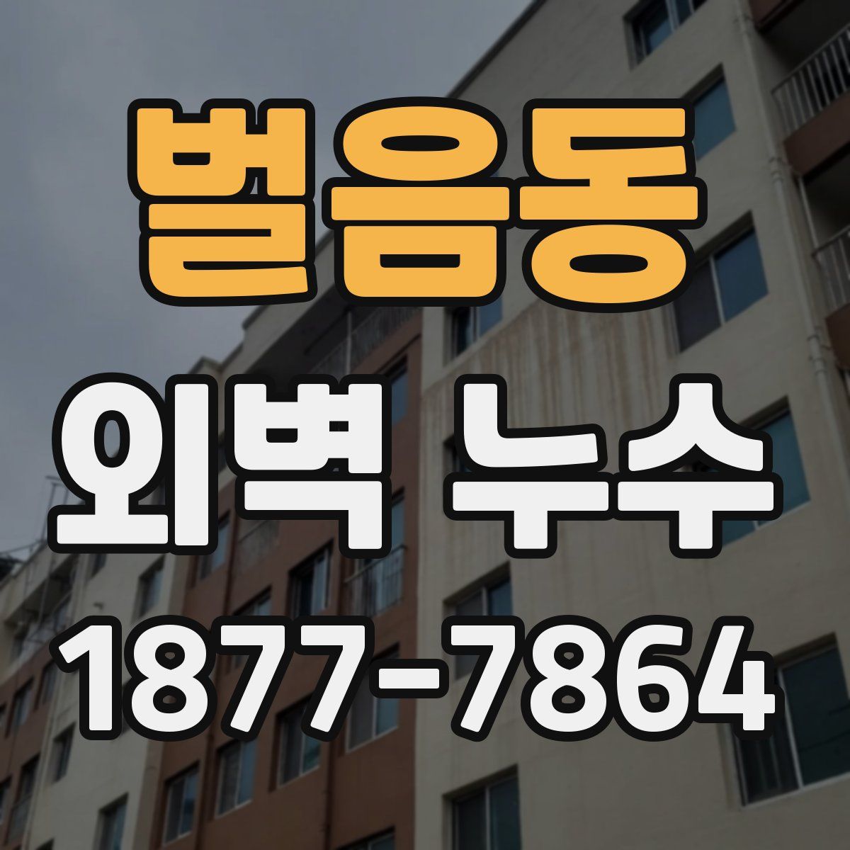벌음동 외벽 누수